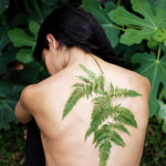 Load image into Gallery viewer, RESPIRA - Roll On de Aromaterapia